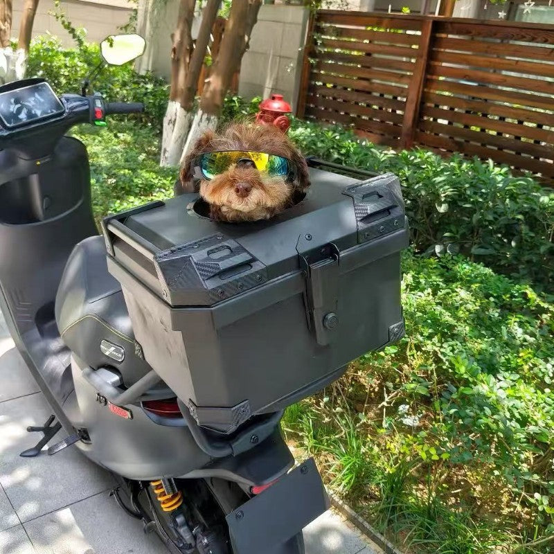 Caja para Mascotas en Motocicleta