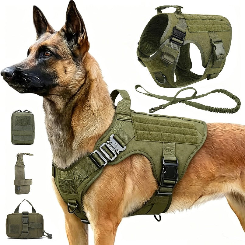 Arnés Ajustable con Opciones de Correa y Collar para Perros