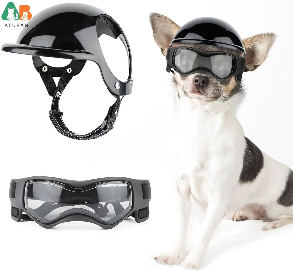 Casco y Gafas para Perros Pequeños