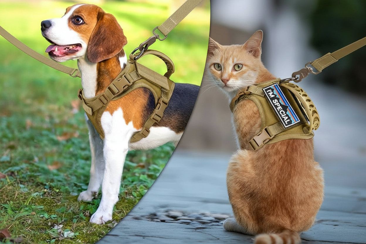 Chaleco Ajustable con Correa para Perros y Gatos