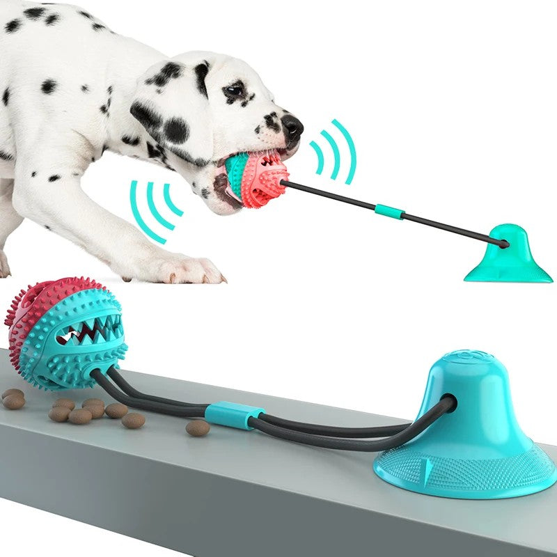 Juguete con Ventosa y Cuerda con Bola para Perro