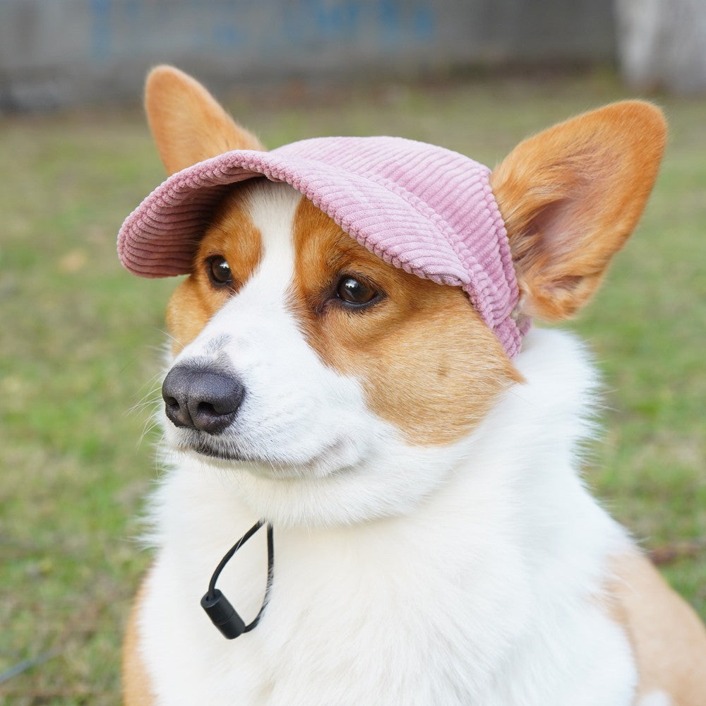 Gorra Ajustable para Perros Grande