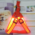 Arnés LED Reflectante para Perros