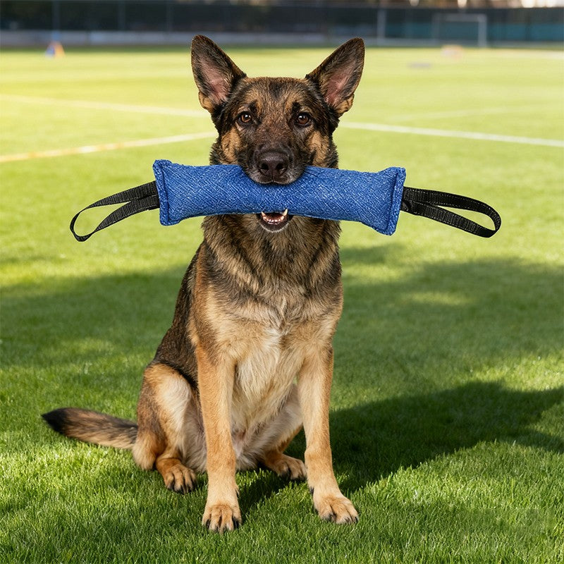 Juguete para Morder y Jalar para Perros