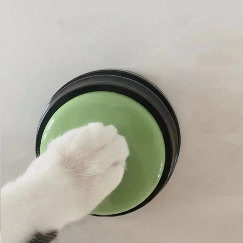 Botón Grabable de Comunicación para Mascotas
