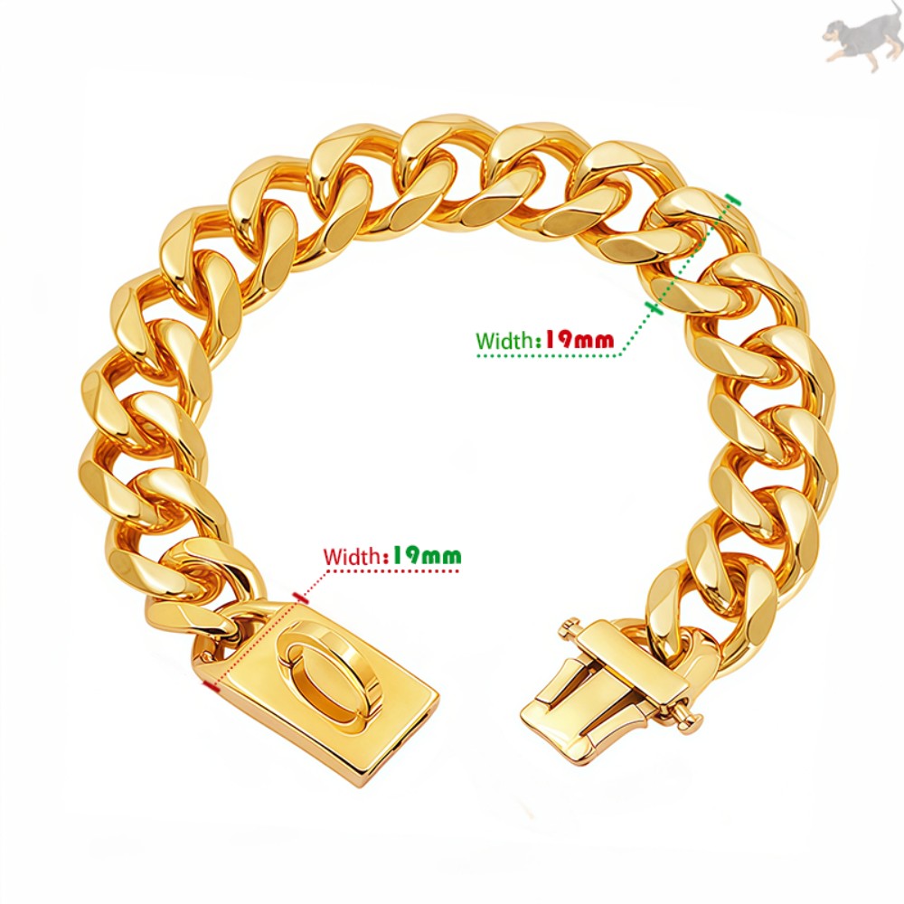 Collar de Perro Dorado de Acero Inoxidable