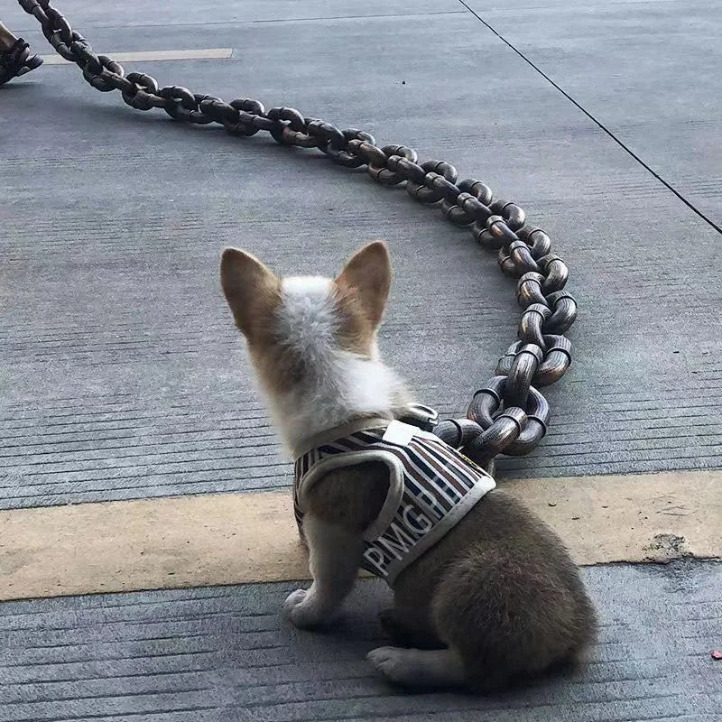 Cadena Gruesa para Mascotas de Utilería