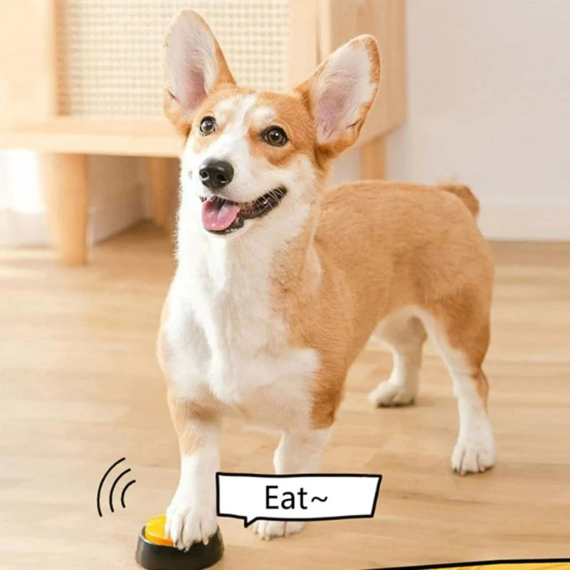 Botón Grabable de Comunicación para Mascotas