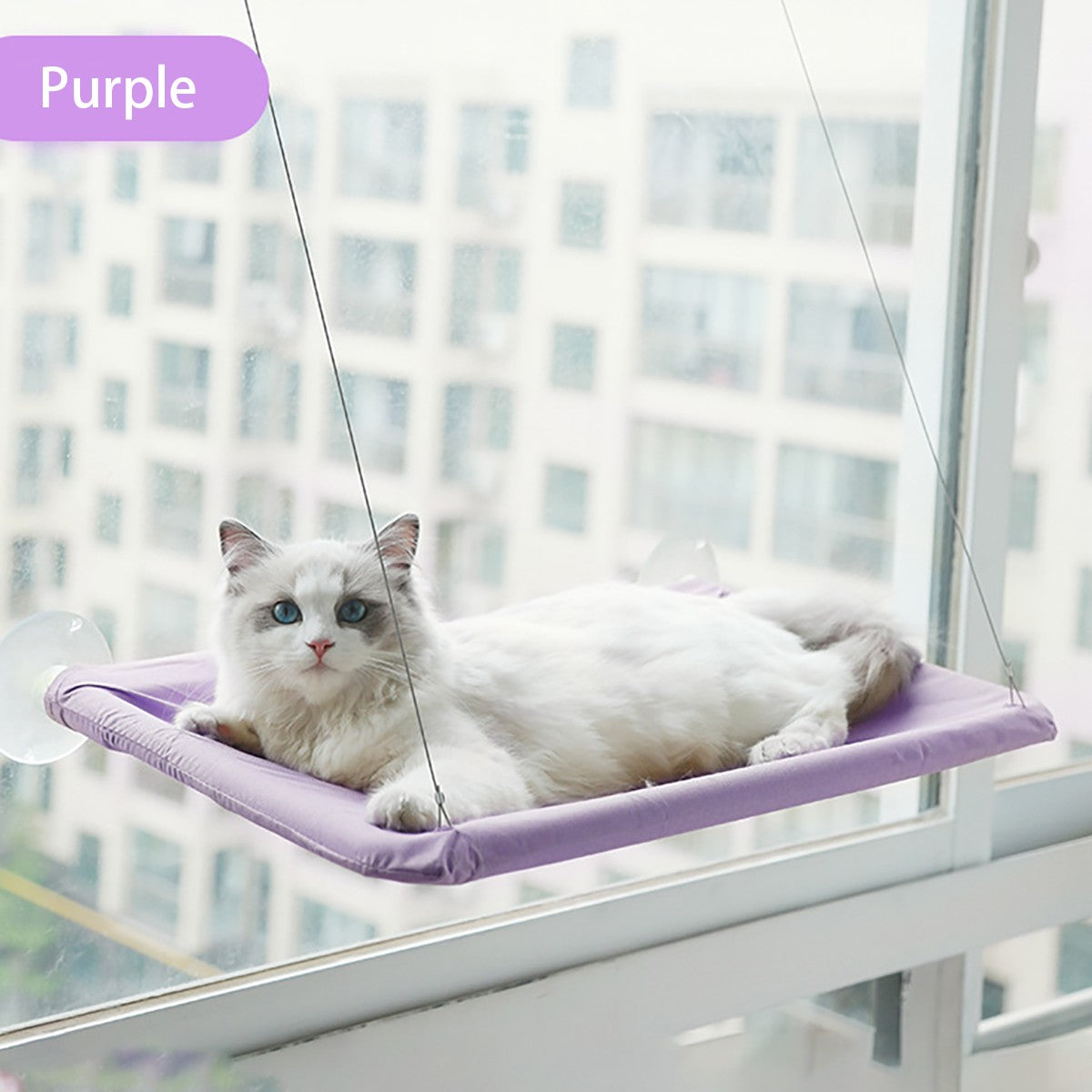 Hamaca de Ventana con Ventosas para Gatos hasta 20 kg