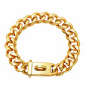 Collar de Perro Dorado de Acero Inoxidable