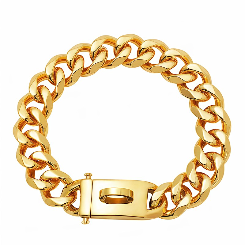 Collar de Perro Dorado de Acero Inoxidable
