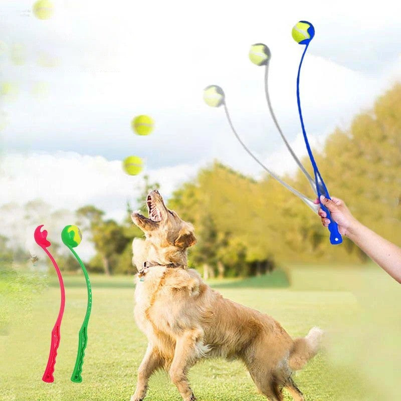 Lanzador de Pelotas para Perros