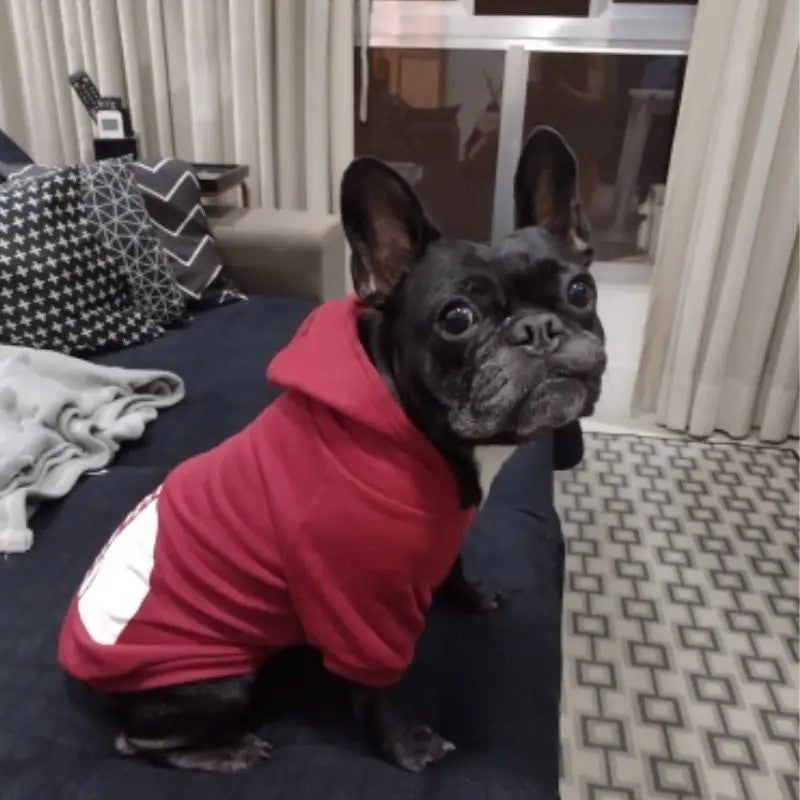 Sudaderas para Perros