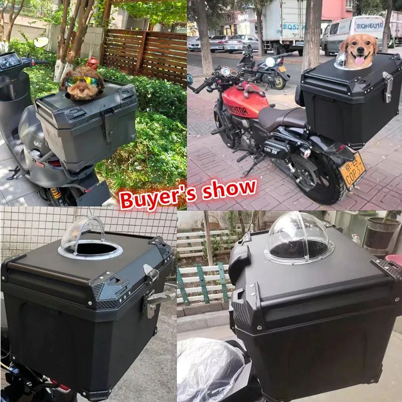 Caja para Mascotas en Motocicleta