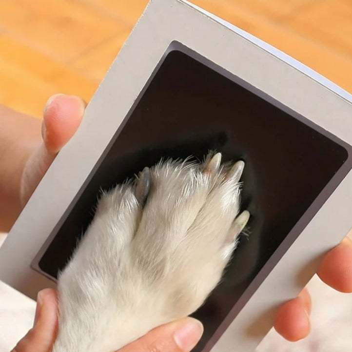 Kit de Huellas con Almohadillas de Tinta para Perro No Tóxico