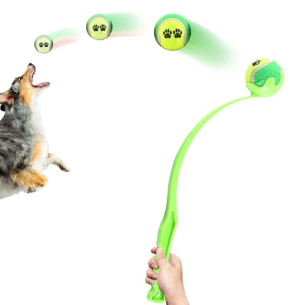 Lanzador de Pelotas para Perros
