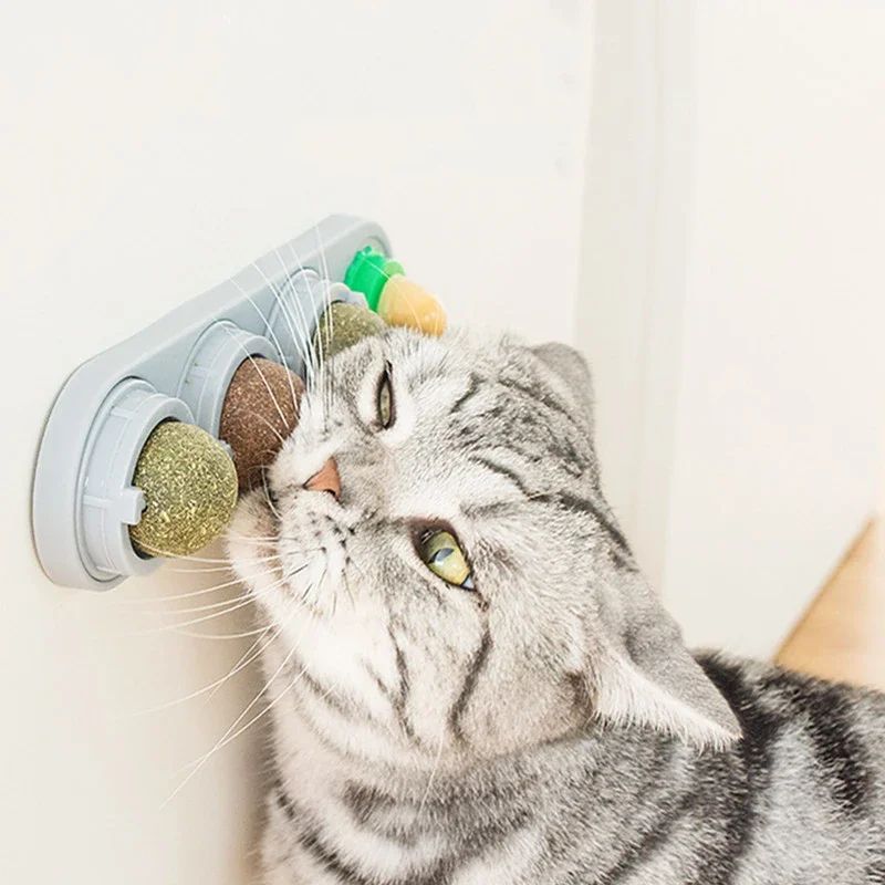 Juguete Giratorio con Catnip para Gatos