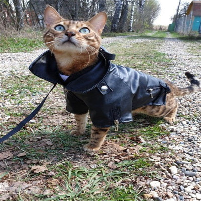 Chamarra para Mascotas Estilo Motociclista