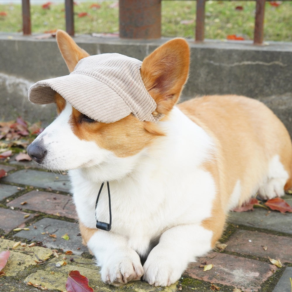 Gorra Ajustable para Perros Grande