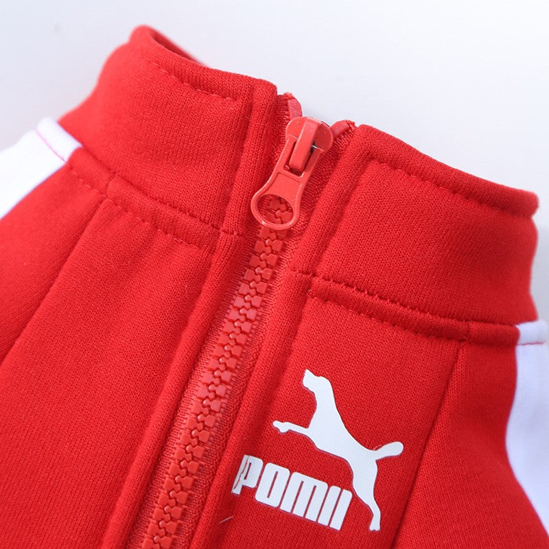Chaqueta para Mascota
