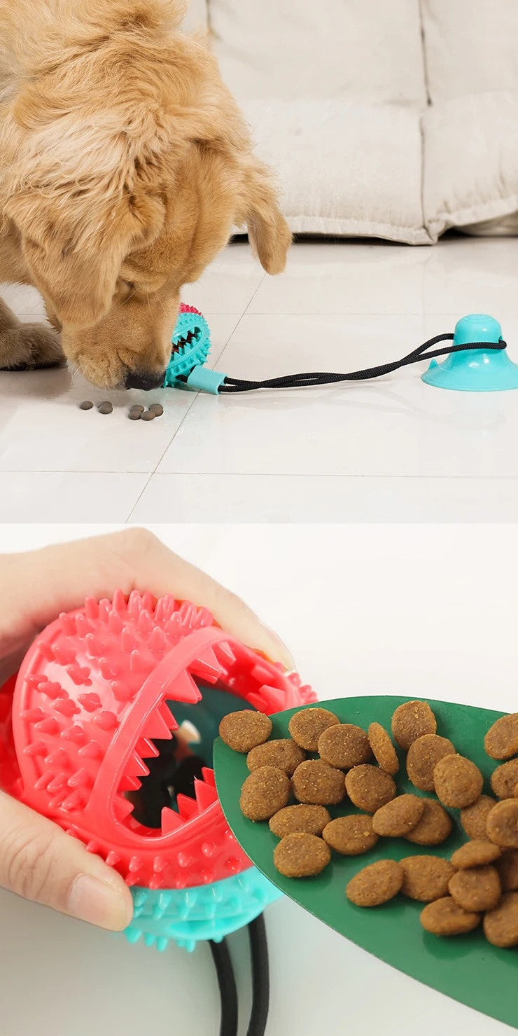 Juguete con Ventosa y Cuerda con Bola para Perro