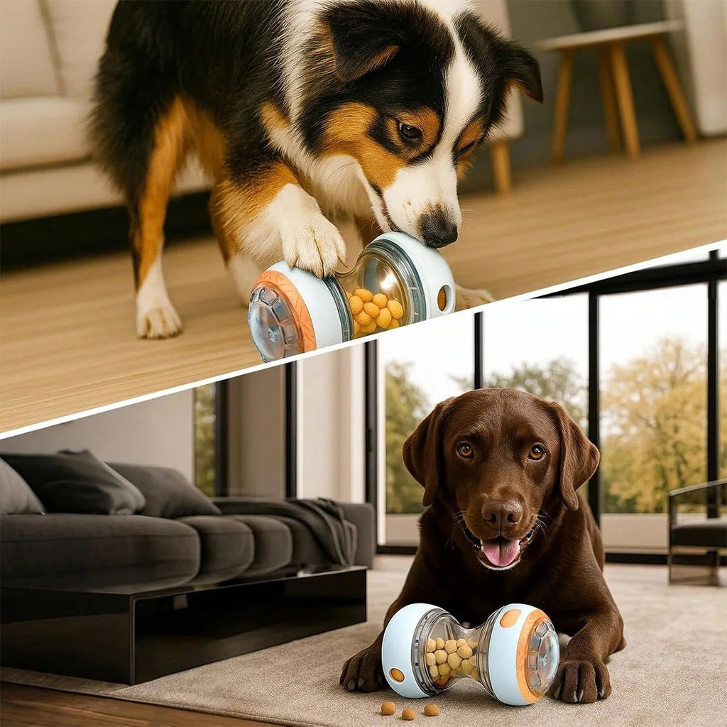 Juguete Dispensador de Premios para Perros