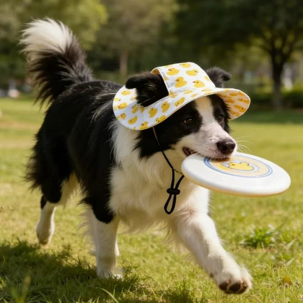 Gorro Playero Ajustable para Perro