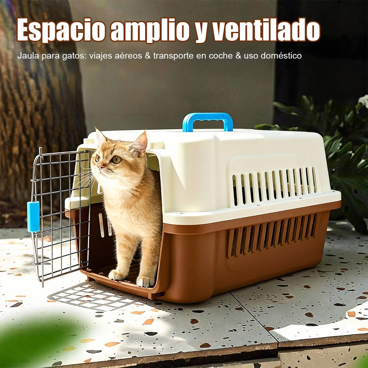 Caja de Transporte para Gatos y Perros Pequeños