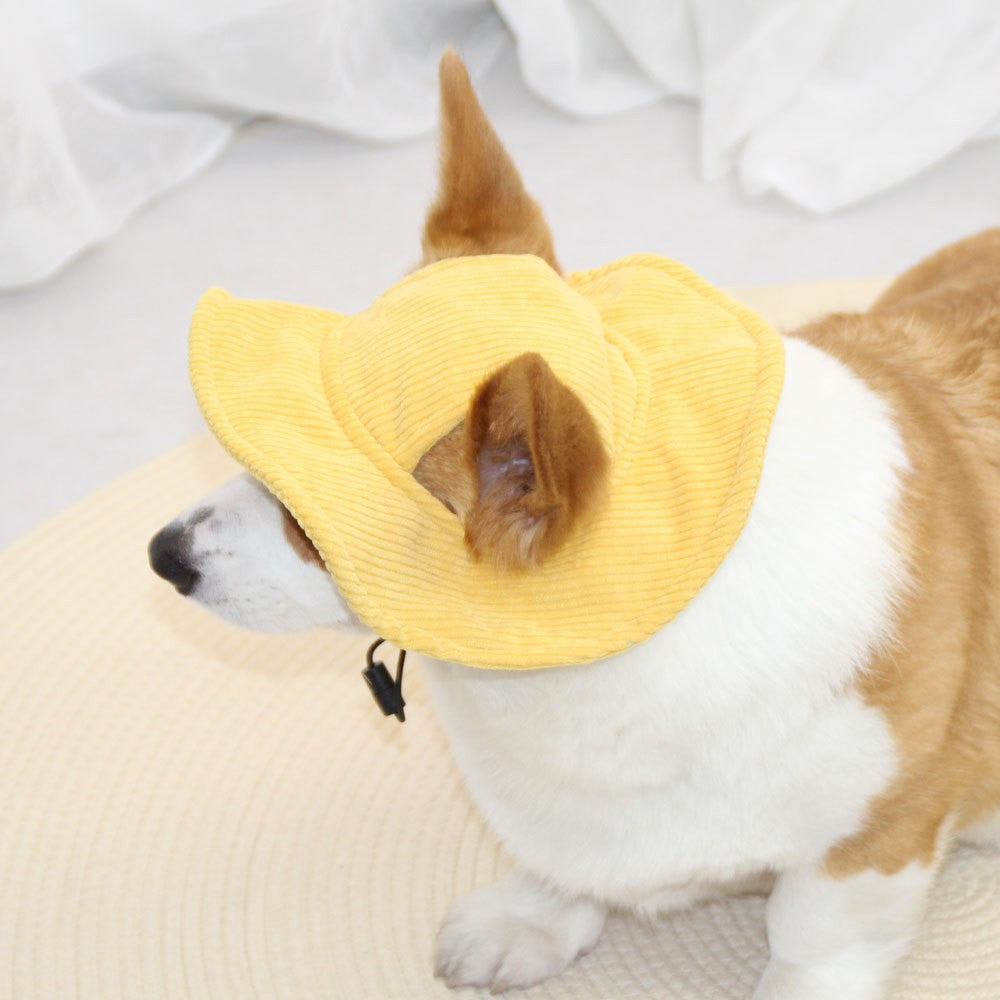 Gorra Ajustable para Perros Grande