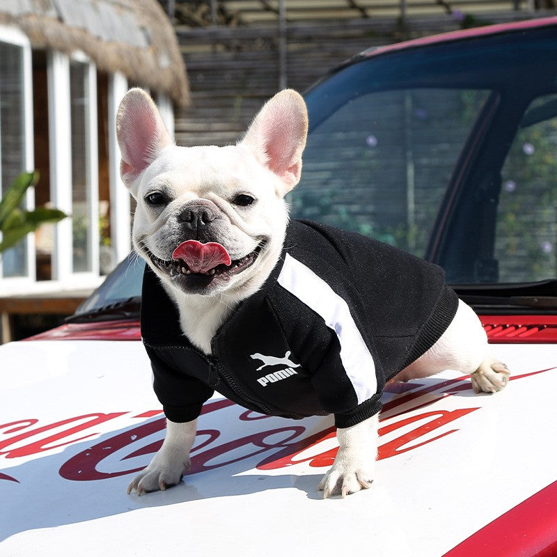 Chaqueta para Mascota
