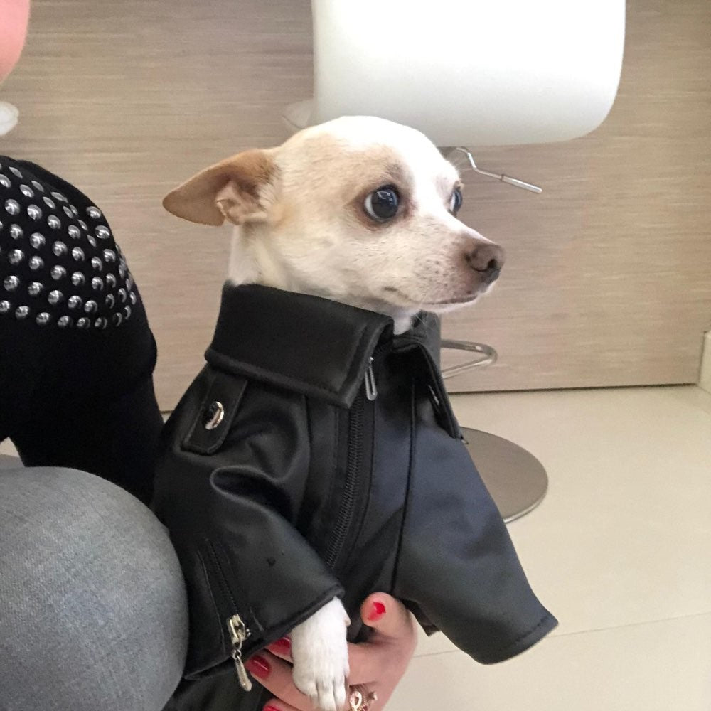 Chamarra para Mascotas Estilo Motociclista