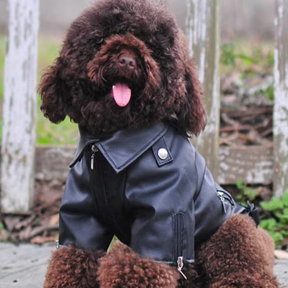 Chamarra para Mascotas Estilo Motociclista